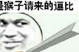 英山英山的要账公司在催收过程中的策略和技巧有哪些？